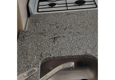 PH 3 AMB | SIN EXPENSAS |  Toilette | Amplios Dormitorios y Balcon